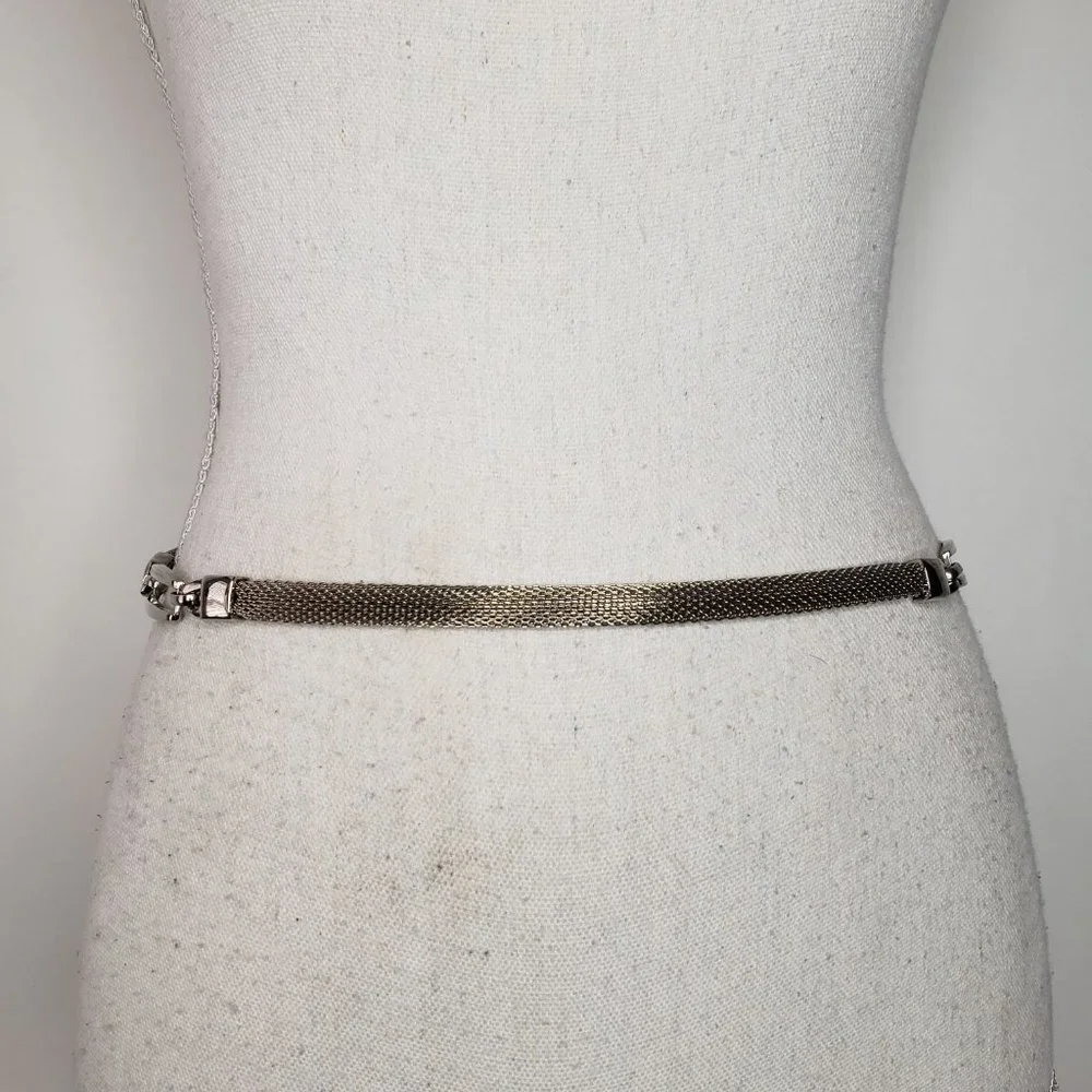 Silver Tone Mesh Metal Skinny Chain Belt OS